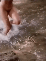 BraveMediocreGangesdolphin-size_restricted.gif