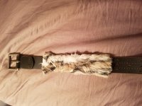 20170612_225451.jpg
