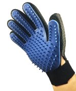 glove.jpg