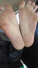 IMG_20170614_150259131.jpg IMG_20170614_150259131.jpg