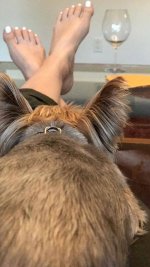 Beth-Behrs-Feet-2826672.jpg Beth-Behrs-Feet-2826672.jpg