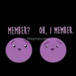 member berries.jpg