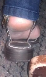 IMAG0786.jpg