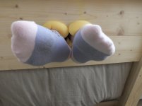 DSCF1546.jpg