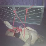 hogtie.jpg