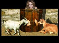 Miley Cyrus 6.jpg