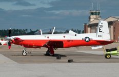 whitingfield_t6.jpg whitingfield_t6.jpg