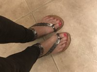 IMG_0273.jpg