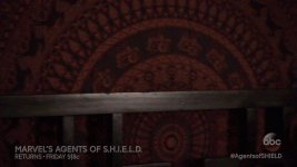 LoneBackBeagle-max-14mb.gif LoneBackBeagle-max-14mb.gif