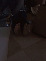 giphy.gif