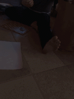 giphy.gif