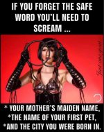 Dont-forget-the-safe-word....jpg