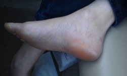 IMAG0741.jpg