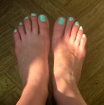 3266804(1).jpg