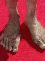 Hobbit-feet-LP.jpg