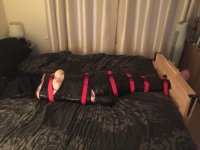 IMG_6586.JPG