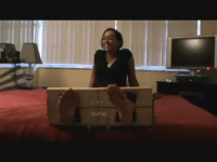 KaceeStocks.gif