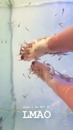 Electra-Mustaine-Feet-4213216.jpg