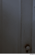 CleverWeeklyFoal-size_restricted.gif