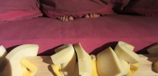 IMG_4525 cropped.jpg