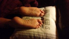 00 all you need is.jpg