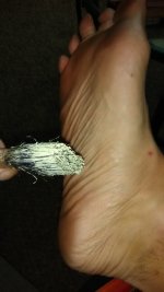IMG_20200803_151106.jpg