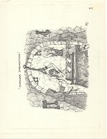 TC Toon - JT -4-04.jpg