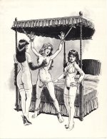 TC Toon - Nord-01.jpg