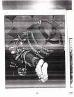 TC Toon - saudelli - 1-01.jpg