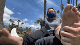 giphy (1).gif