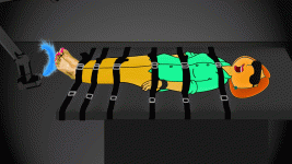 Webp.net-gifmaker - 2021-02-27T000644.872.gif