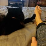 Ashly-Burch-Feet-4065036.jpg