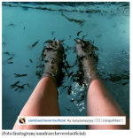 Sandra Echeverria.PNG