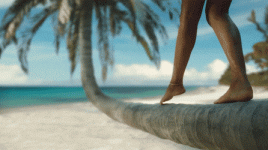 UnripeSomberAfricanrockpython-size_restricted.gif