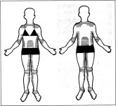 sjop12756-fig-0001-m.jpg sjop12756-fig-0001-m.jpg