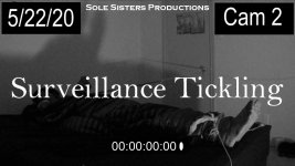 Surveillance Tickling.jpg