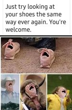 shoes.jpg