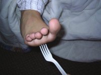 tick04.jpg