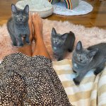 Beth-Stern-Feet-5345404.jpg