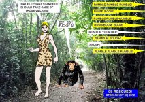 08-Rescued!.jpg