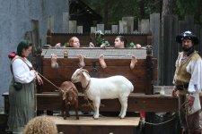goat2.jpg