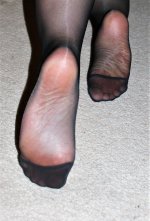 12 448.jpg