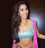 sophie-chaudhary-spicy-stills-2.jpg