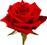AnimatedGIFsRose.gif