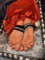 IMG_20230105_074730.jpg