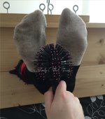 VixenStocks2.jpg VixenStocks2.jpg