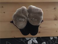 VixenStocks1.jpg VixenStocks1.jpg