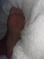 IMG_0041.jpeg