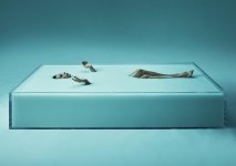 Angela-Sarafyan-Feet-4509895.jpg