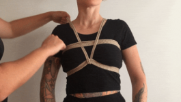harness1.png
